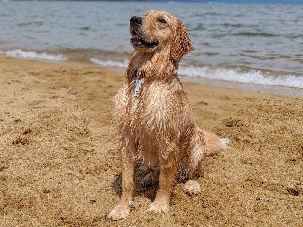 Kiva Beach: Dog Friendly Beach at Lake Tahoe, California