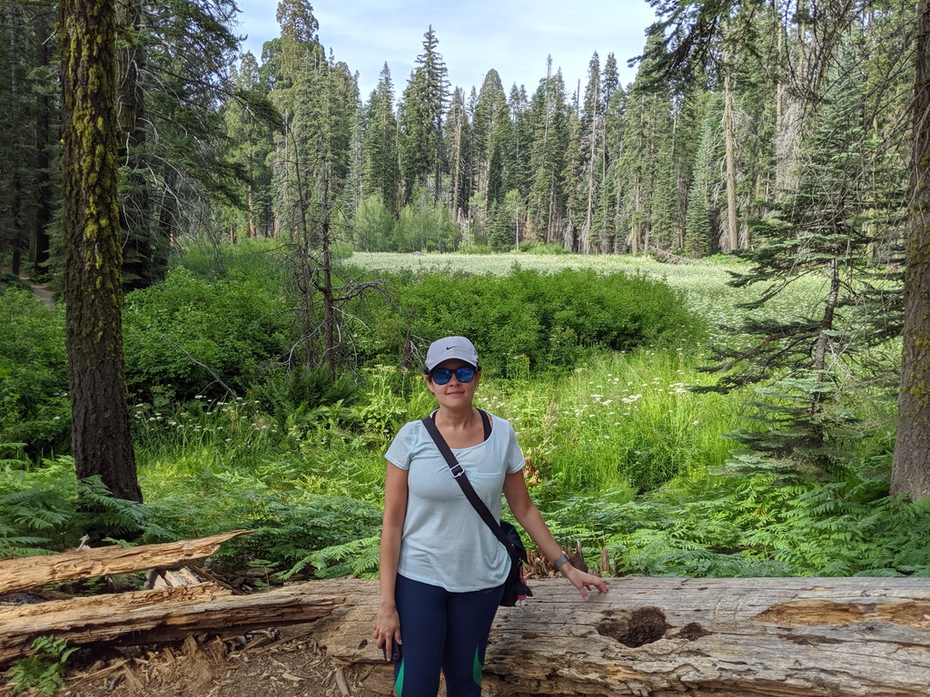 Califórnia: Sequoia National Park, o parque das sequoias gigantes