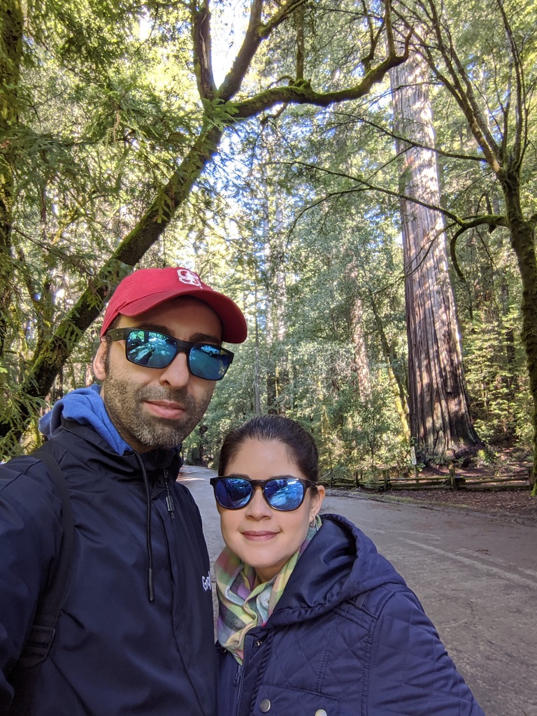 Big Basin Redwoods Park: parque mais antigo da Califórnia
