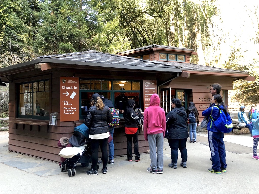 Muir Woods: Floresta de Sequoias ao lado de San Francisco