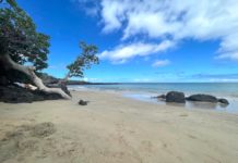 Hawái: Guía de las 30 mejores playas de la Isla Grande (¡con mapa!)