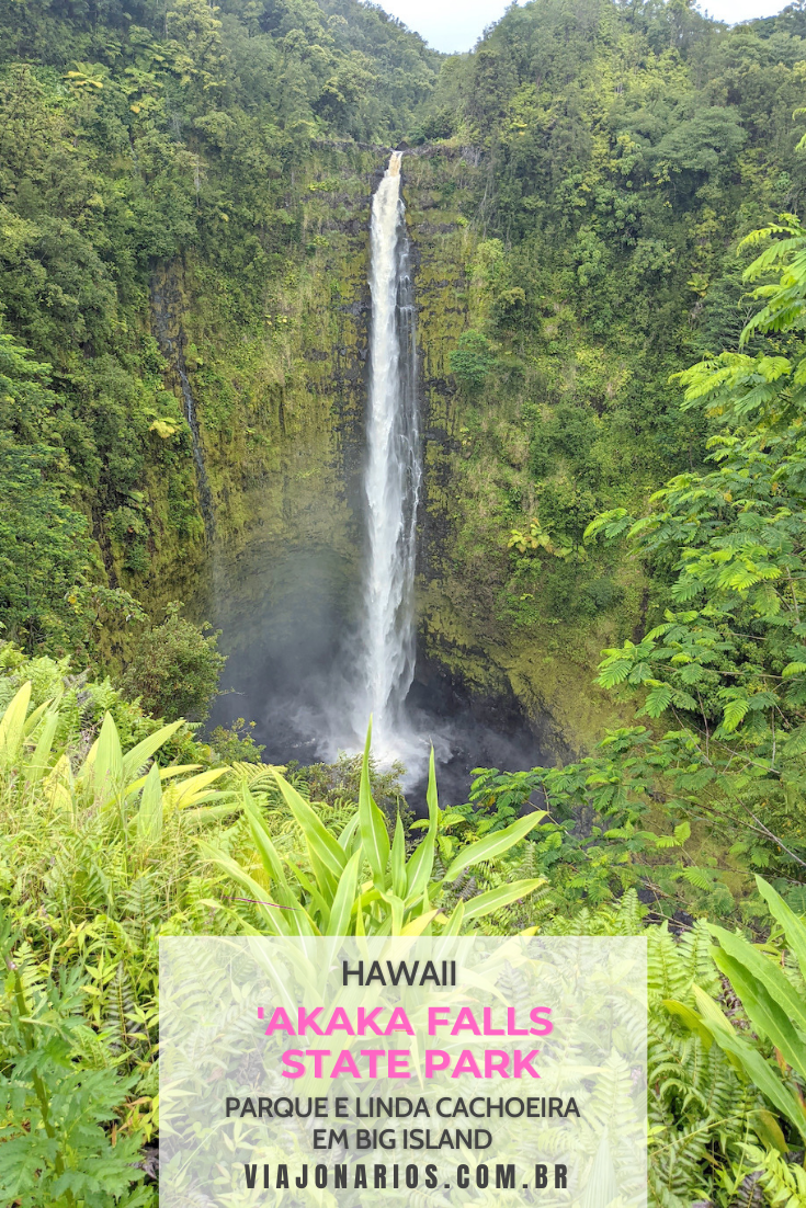 Akaka Falls: Parque e linda cachoeira em Big Island, Havaí - Viajonários | https://viajonarios.com/akaka-falls/ | #viajonarios #havai #hawaii #bigisland #akakafalls