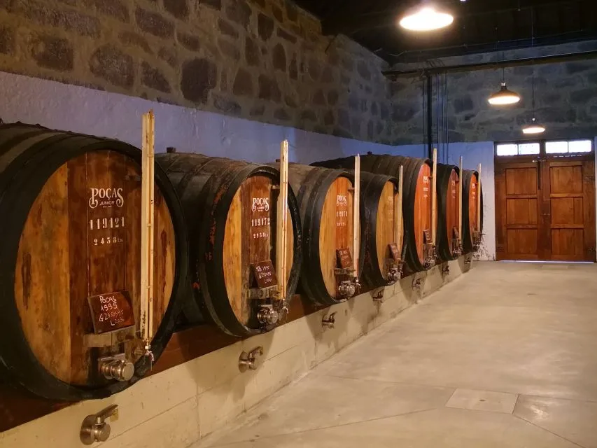 Vinho do Porto: Principais Caves, Salas de Degustação e Dicas