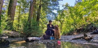Redwood Grove Nature Preserve: reserva natural en California