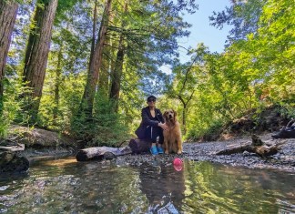 Redwood Grove Nature Preserve: reserva natural na Califórnia