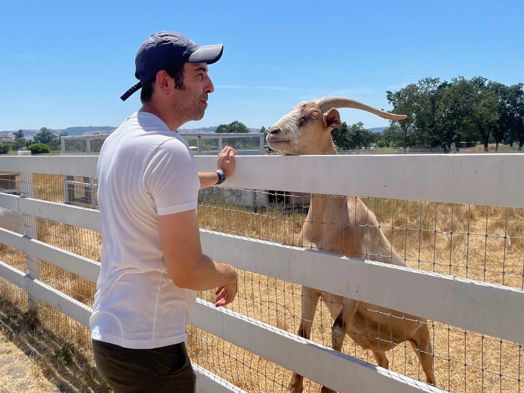 Charlie's Acres: Santuário de animais resgatados na Califórnia
