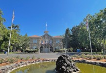 California: Qué hacer en la ciudad vinícola de Sonoma